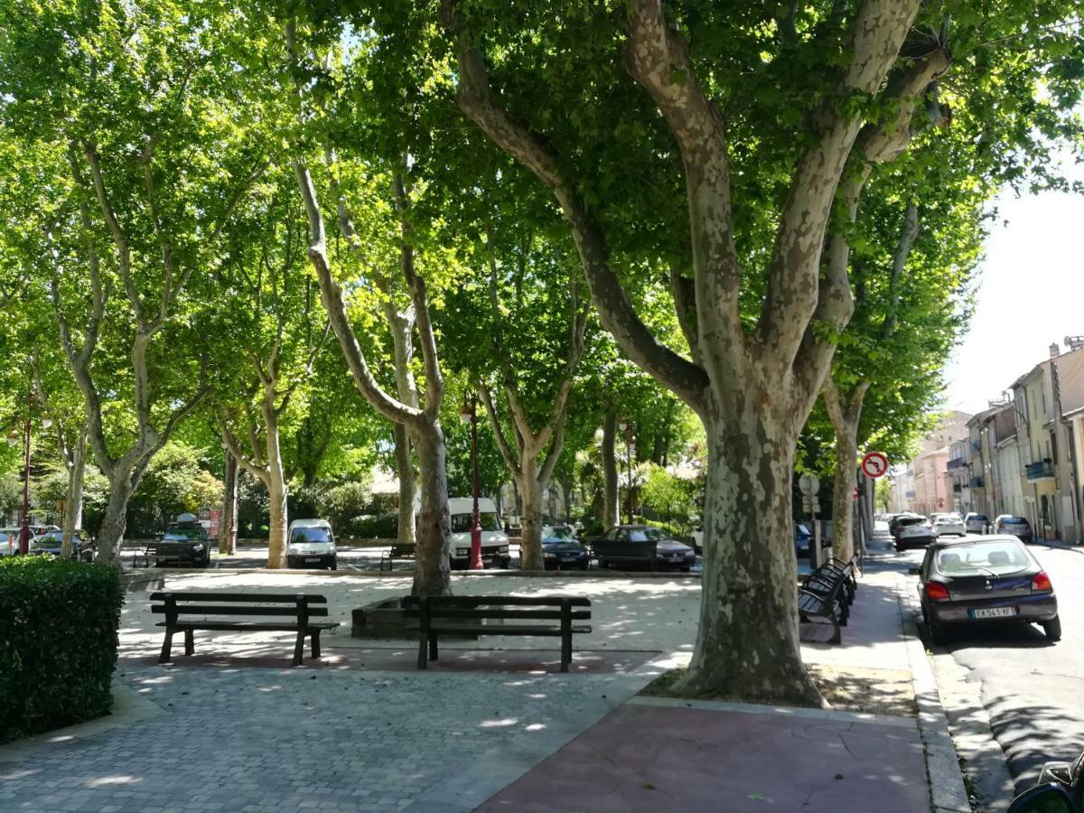 Appartement Avec Terrasse Narbonne Bagian luar foto