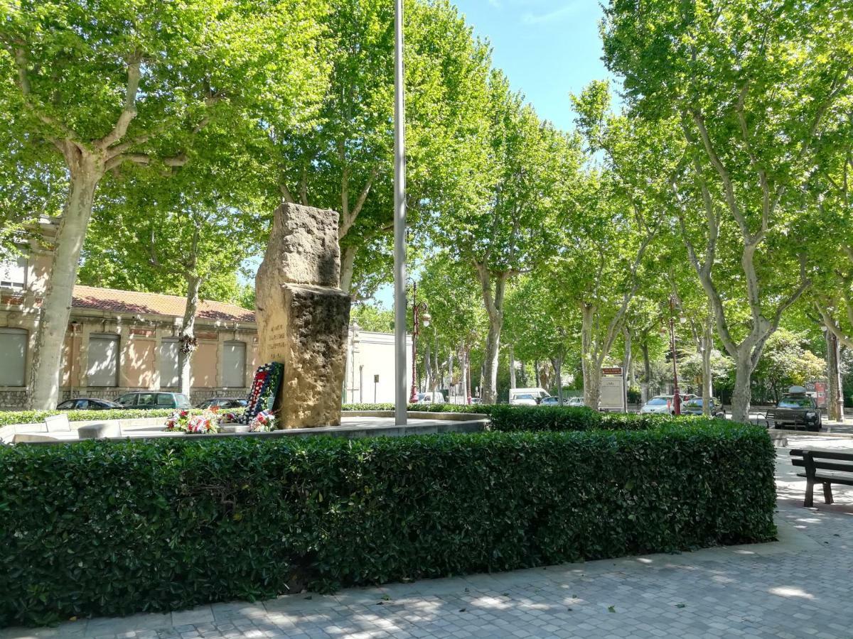 Appartement Avec Terrasse Narbonne Bagian luar foto